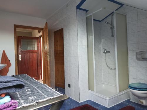 a bathroom with a shower and a toilet at Günther´s Ferienwohnung in Pegnitz