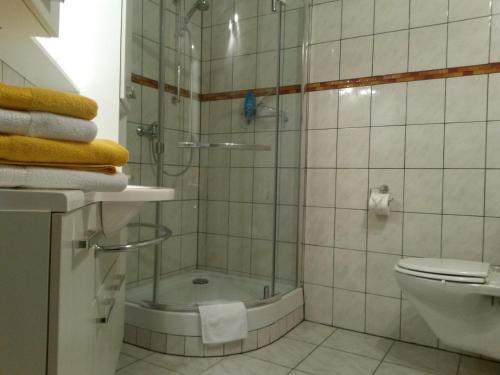 uma casa de banho com um chuveiro e um WC. em Appartementanlage Tecklenburger Altstadt em Tecklenburg