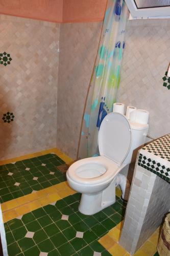 a bathroom with a toilet and a shower at Kasbah Assafar in Kalaat MGouna