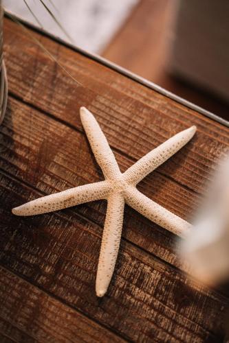 a starfish sitting on top of a wooden table at Boutique Hotel Villa Monika in Westerland (Sylt)