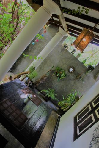 Jardín al aire libre en The Courtyard Villa