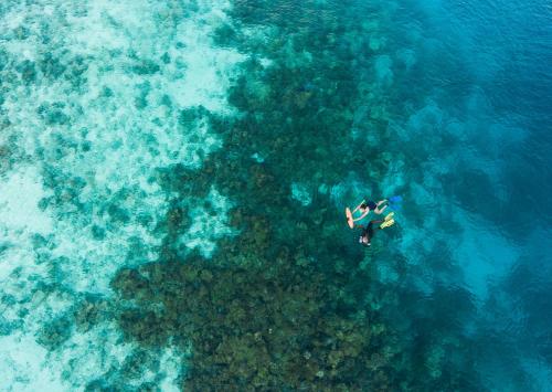 an overhead view of a person swimming in the ocean at Eriyadu Island Resort in Reethi Rah