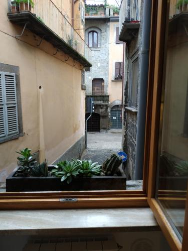 a view from a window of a courtyard with plants at CASA ANNIO Holiday Viterbo in Viterbo