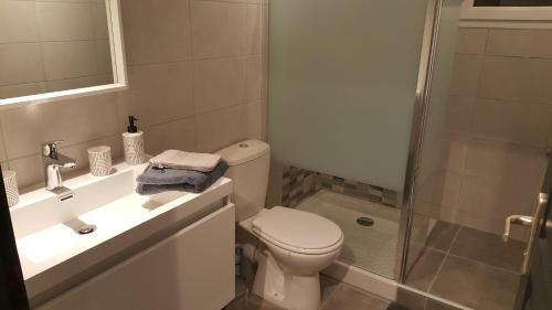 une salle de bain avec toilettes, lavabo et douche dans l'établissement Nid douillet au pied du Vercors, à Eymeux