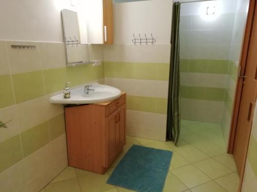 a bathroom with a sink and a shower at Apartmán Albreit in Jáchymov