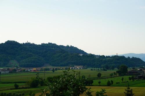 a green field with a mountain in the background at Agriturismo Casa Bregalda in Castelgomberto