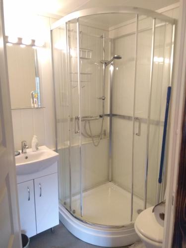 a bathroom with a shower with a sink and a toilet at Summer haus in Syreflot