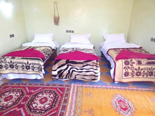 Gallery image of jardin du desert in Mhamid