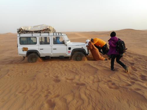 Gallery image of jardin du desert in Mhamid