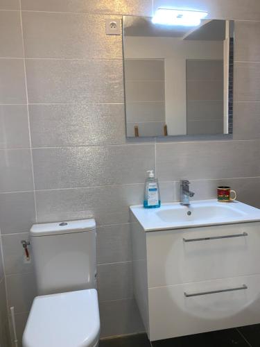 a bathroom with a toilet and a sink and a mirror at Bleu Cannelle et Petimo in Le Diamant