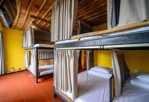 two bunk beds in a room with yellow walls at Mira Bãi Xếp Quy Nhơn - The Hidden Jewel in Quy Nhon