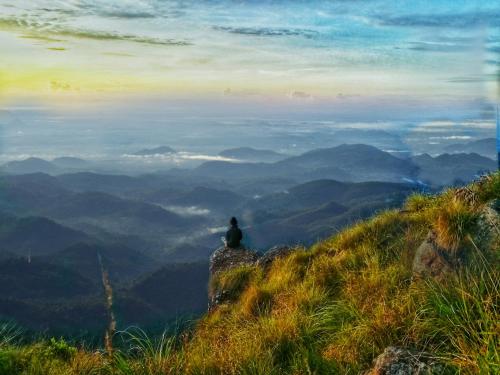 a person sitting on top of a mountain overlooking a valley at Eco Lodge Haputale-Camping Sri lanka in Haputale