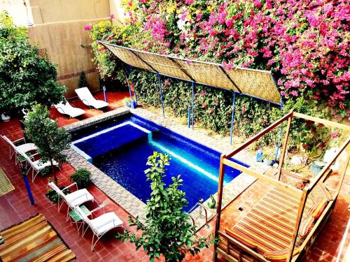an overhead view of a swimming pool with chairs and flowers at La Petite Kasbah in Zagora