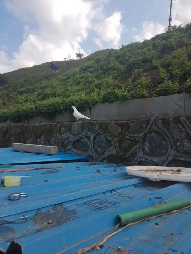 a bird sitting on top of a stone wall at Jandyal Farm House in Malshej Ghat