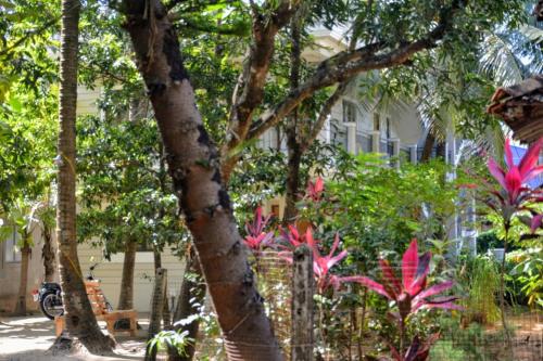 a group of trees and plants in front of a house at DSK Studio Apartment, Siolim, Goa. in Siolim