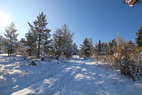 Måsåplassen Friisvegen Mountain Lodge v zimě