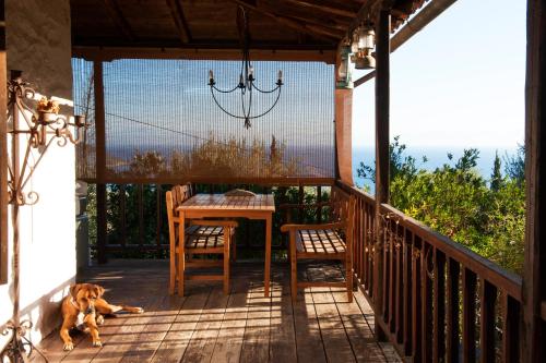 a dog laying on a porch with a table and chairs at Studios Kyparissi & Spa in Tiros