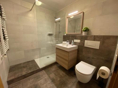 ein Bad mit einem WC, einem Waschbecken und einer Dusche in der Unterkunft Ferienwohnung Füsin in Berchtesgaden