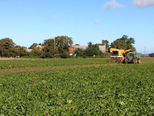 a tractor in the middle of a field at Lyckås Gårds Gästboende in Höganäs