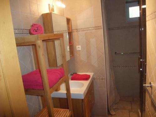 a small bathroom with a sink and a shower at Le Domaine du Grand Cellier Chambres d'hôtes en Savoie in Tournon