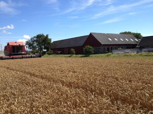 a barn and a tractor in a field at Lyckås Gårds Gästboende in Höganäs