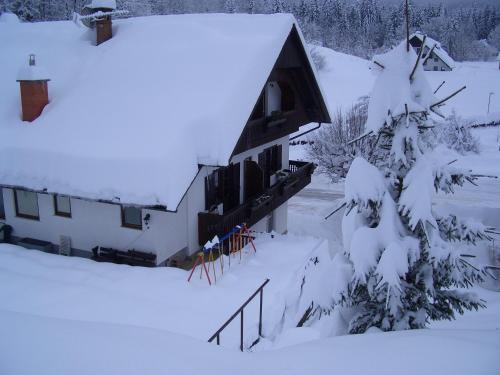 a house covered in snow with trees in front of it at Accommodation Resman in Bohinj