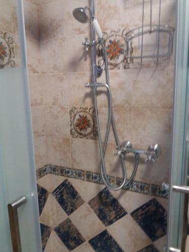 a shower in a bathroom with a tile floor at Suite Saragozza Free small Parking,Bologna in Bologna