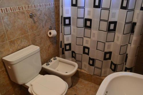 y baño con aseo, ducha y lavamanos. en La Posada en Villa Ventana