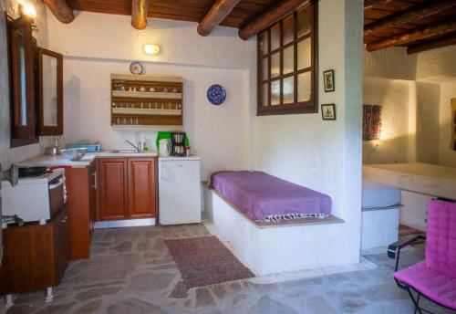 a kitchen with a sink and a refrigerator and a table at Valeondades in Valeontádes