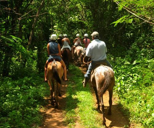 a group of people riding horses down a trail at Pacuare River Lodge in Bajo Tigre