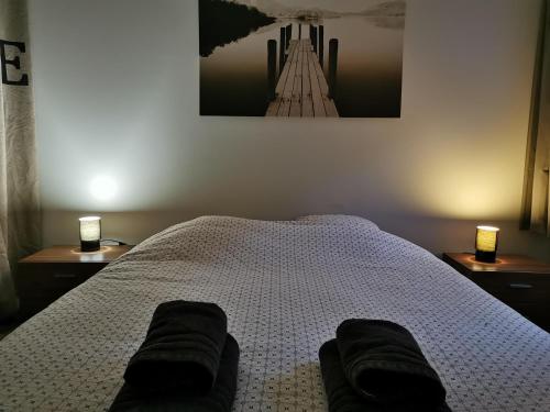 a bedroom with a bed with two lamps and a picture at La maisonnette au centre ville in Lens