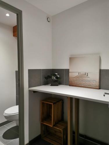 une salle de bain avec un lavabo, des toilettes et un miroir dans l'établissement La maisonnette au centre ville, à Lens