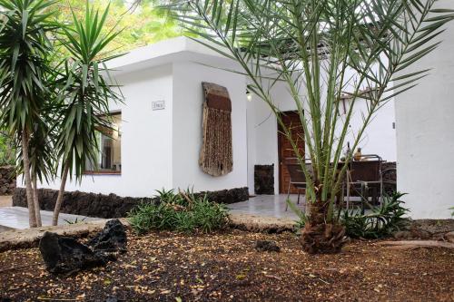a white house with palm trees in front of it at Apartamentos Finca Wapa in Frontera