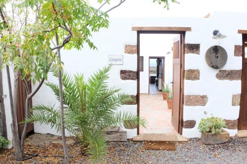 a white house with a door and a plant at Apartamentos Finca Wapa in Frontera