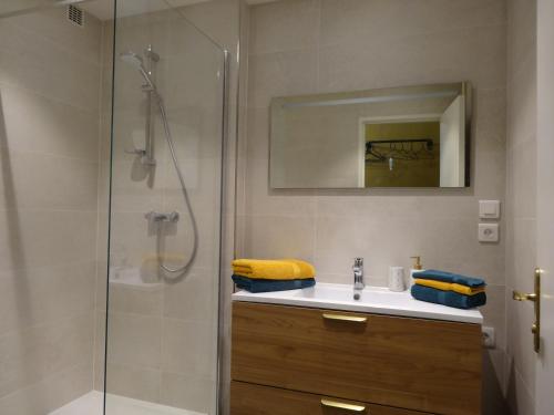 une salle de bain avec un lavabo et une douche dans l'établissement La vie est Belle, à Sélestat