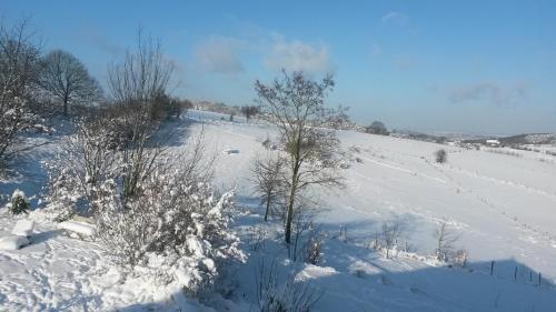 a snow covered hill with trees and a field at Un brin de Paradis "appartement de 100 m²" in Harzé