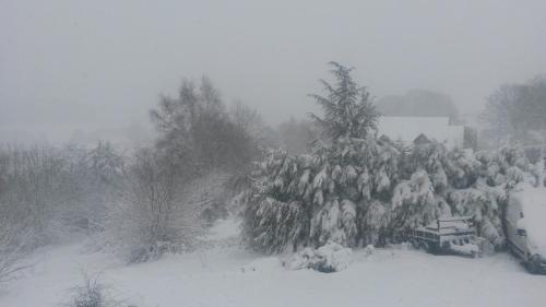 a snow covered yard with trees and a house at Un brin de Paradis "appartement de 100 m²" in Harzé