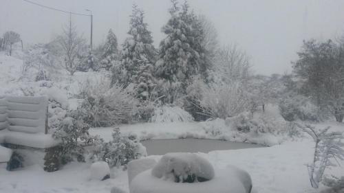 a snow covered garden with trees and a pond at Un brin de Paradis "appartement de 100 m²" in Harzé