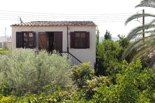 a small house in the middle of a garden at Avli-the courtyard in Nicosia