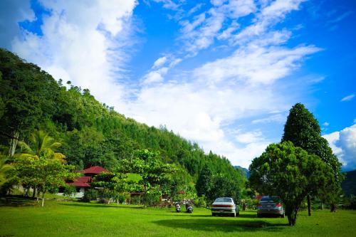 two cars parked in a green field with trees at Mercedes Lodge in San Ramón