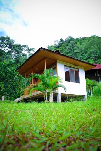 a house with a palm tree in front of it at Mercedes Lodge in San Ramón