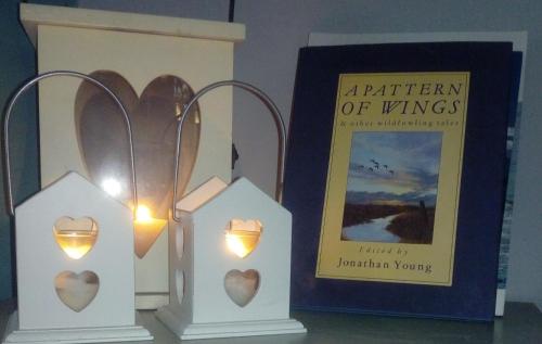 a couple of lights in boxes next to a book at Mulberry Lodge in Blarney