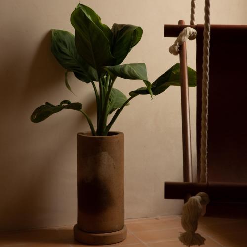a plant in a vase sitting on a table at Casa Montore by Barrio Mexico in Guadalajara
