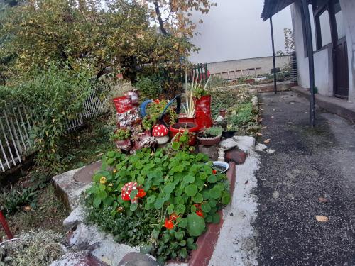 a garden with flowers and plants in a yard at Smeštaj u Novoj Varoši, Zlatar in Nova Varoš
