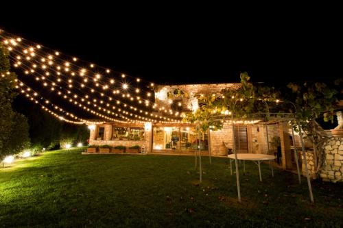 a string of lights over a yard at night at TENUTA I TUFARI in Tivoli