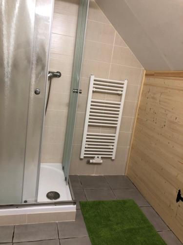 een douche met een glazen deur en een groen tapijt bij Apartmán U Setra in Pec pod Sněžkou