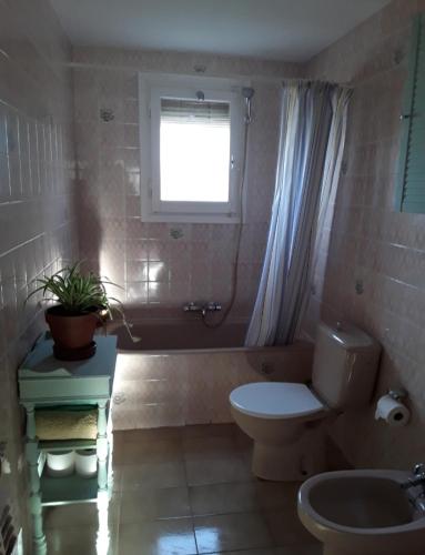 a bathroom with a toilet and a sink and a window at Apartamento El Portiel in Gotor
