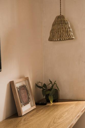 a picture frame sitting on a table with a potted plant at Casa Montore by Barrio Mexico in Guadalajara