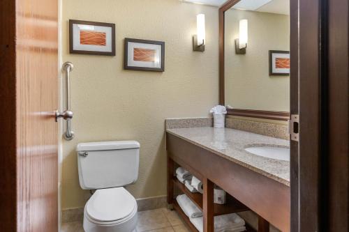 Ванна кімната в Comfort Inn Grand Rapids Airport