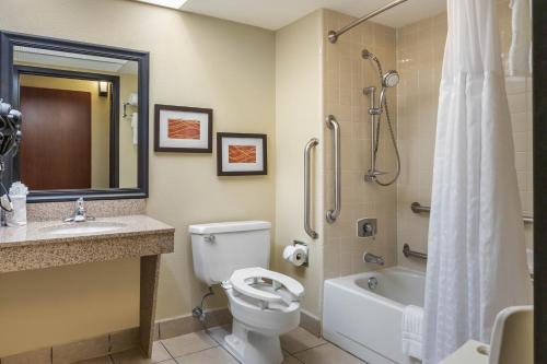 a bathroom with a toilet and a sink and a shower at Comfort Inn Grand Rapids Airport in Grand Rapids